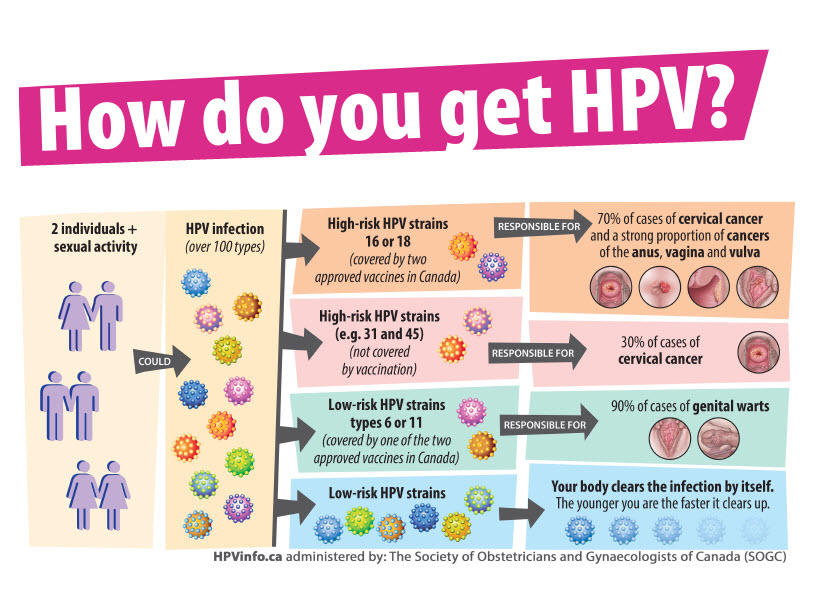 Correct HPV Facts